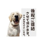 店舗言葉です（個別スタンプ：9）
