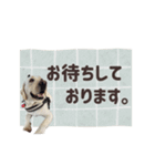 店舗言葉です（個別スタンプ：12）