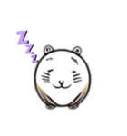 アザラシ(seal)（個別スタンプ：4）