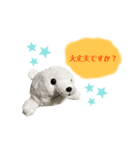あざらしのおうちゃん 日常丁寧言葉（個別スタンプ：2）
