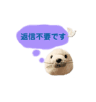 あざらしのおうちゃん 日常丁寧言葉（個別スタンプ：4）