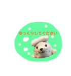 あざらしのおうちゃん 日常丁寧言葉（個別スタンプ：11）