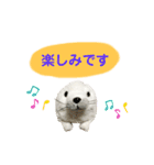 あざらしのおうちゃん 日常丁寧言葉（個別スタンプ：14）