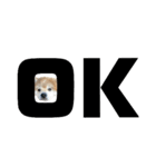 ライオンみたいな狐みたいな狸みたいな犬（個別スタンプ：7）