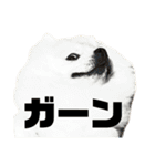 ライオンみたいな狐みたいな狸みたいな犬（個別スタンプ：20）