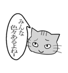 ひと言伝えるふきだしネコ 19（個別スタンプ：24）