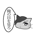 ひと言伝えるふきだしネコ 19（個別スタンプ：27）