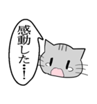 ひと言伝えるふきだしネコ 19（個別スタンプ：29）