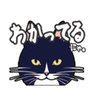 少しだけウザい猫のスタンプ①（個別スタンプ：14）