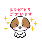 シーズー犬好きのための日常スタンプ（個別スタンプ：3）