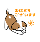 シーズー犬好きのための日常スタンプ（個別スタンプ：9）