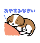 シーズー犬好きのための日常スタンプ（個別スタンプ：10）