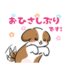 シーズー犬好きのための日常スタンプ（個別スタンプ：13）