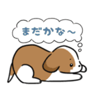 シーズー犬好きのための日常スタンプ（個別スタンプ：18）