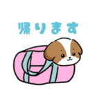 シーズー犬好きのための日常スタンプ（個別スタンプ：19）