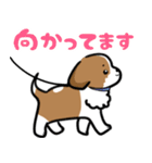 シーズー犬好きのための日常スタンプ（個別スタンプ：20）