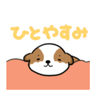 シーズー犬好きのための日常スタンプ（個別スタンプ：38）