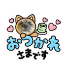 まるもる（個別スタンプ：3）
