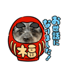 まるもる（個別スタンプ：5）