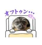 まるもる（個別スタンプ：8）