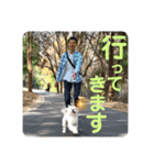 敬語版 こたろう（個別スタンプ：13）