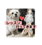 敬語版 こたろう（個別スタンプ：14）
