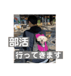 敬語版 こたろう（個別スタンプ：17）