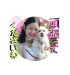 敬語版 こたろう（個別スタンプ：22）