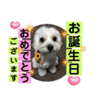 敬語版 こたろう（個別スタンプ：38）