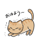 トラ柄マンチカンのLINEスタンプ（個別スタンプ：1）