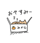 トラ柄マンチカンのLINEスタンプ（個別スタンプ：2）