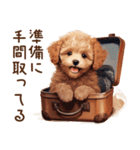 冬！トイプードルの子犬スタンプ（個別スタンプ：31）