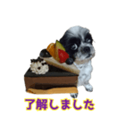 癒やしの愛犬クリさんからLINE送信（個別スタンプ：4）