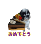 癒やしの愛犬クリさんからLINE送信（個別スタンプ：11）