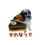 癒やしの愛犬クリさんからLINE送信（個別スタンプ：16）