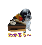 癒やしの愛犬クリさんからLINE送信（個別スタンプ：17）