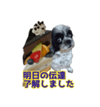 癒やしの愛犬クリさんからLINE送信（個別スタンプ：22）