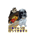 癒やしの愛犬クリさんからLINE送信（個別スタンプ：24）