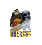 癒やしの愛犬クリさんからLINE送信（個別スタンプ：27）