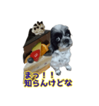 癒やしの愛犬クリさんからLINE送信（個別スタンプ：38）