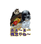 癒やしの愛犬クリさんからLINE送信（個別スタンプ：39）