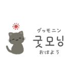 韓国語♡ひかえめネコちゃん（個別スタンプ：1）