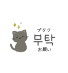 韓国語♡ひかえめネコちゃん（個別スタンプ：13）