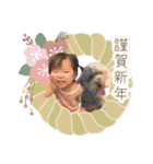 shiuswi.m（個別スタンプ：39）