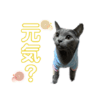 ちゃび（あいさつ）（個別スタンプ：7）