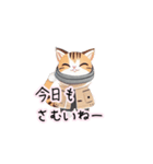 【ふゆねこ】冬服の猫LINEスタンプ！（個別スタンプ：11）