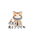 【ふゆねこ】冬服の猫LINEスタンプ！（個別スタンプ：24）