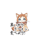 【ふゆねこ】冬服の猫LINEスタンプ！（個別スタンプ：38）