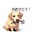 ドット絵 ラブラドール イエロー 40種（個別スタンプ：14）