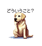 ドット絵 ラブラドール イエロー 40種（個別スタンプ：19）